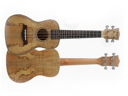 AIERSI SU084 - koncertní ukulele