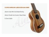 AIERSI SU071P - sopránové ukulele | Sopránové ukulele - 03