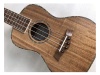 AIERSI SU074P - koncertní ukulele | Koncertné ukulele - 02