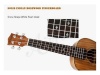 AIERSI SU074P - koncertní ukulele | Koncertné ukulele - 03