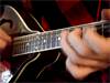 Ernie Ball 2323 - struny mandolina .009-.034 | Struny na mandolínu - 02