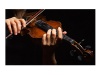 Pirastro Flexocor Permanent - houslové struny | Príslušenstvo pre sláčikové nástroje - 02